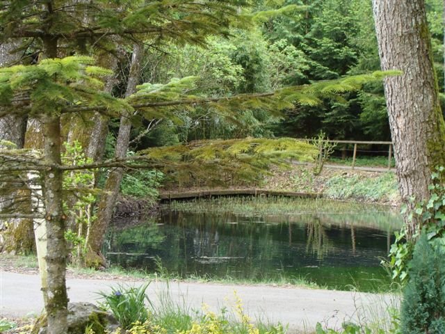 dsc00390.jpg