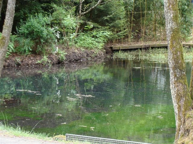 dsc00392.jpg