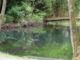 dsc00392.jpg