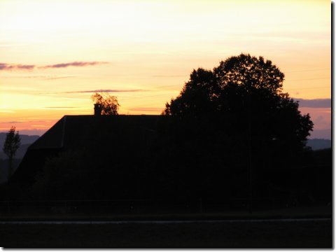 img_6565.jpg